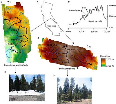 Determining How Critical Zone Structure Constrains Hydrogeochemical Behavior of Watersheds: Learning From an Elevation Gradient in California's Sierra Nevada